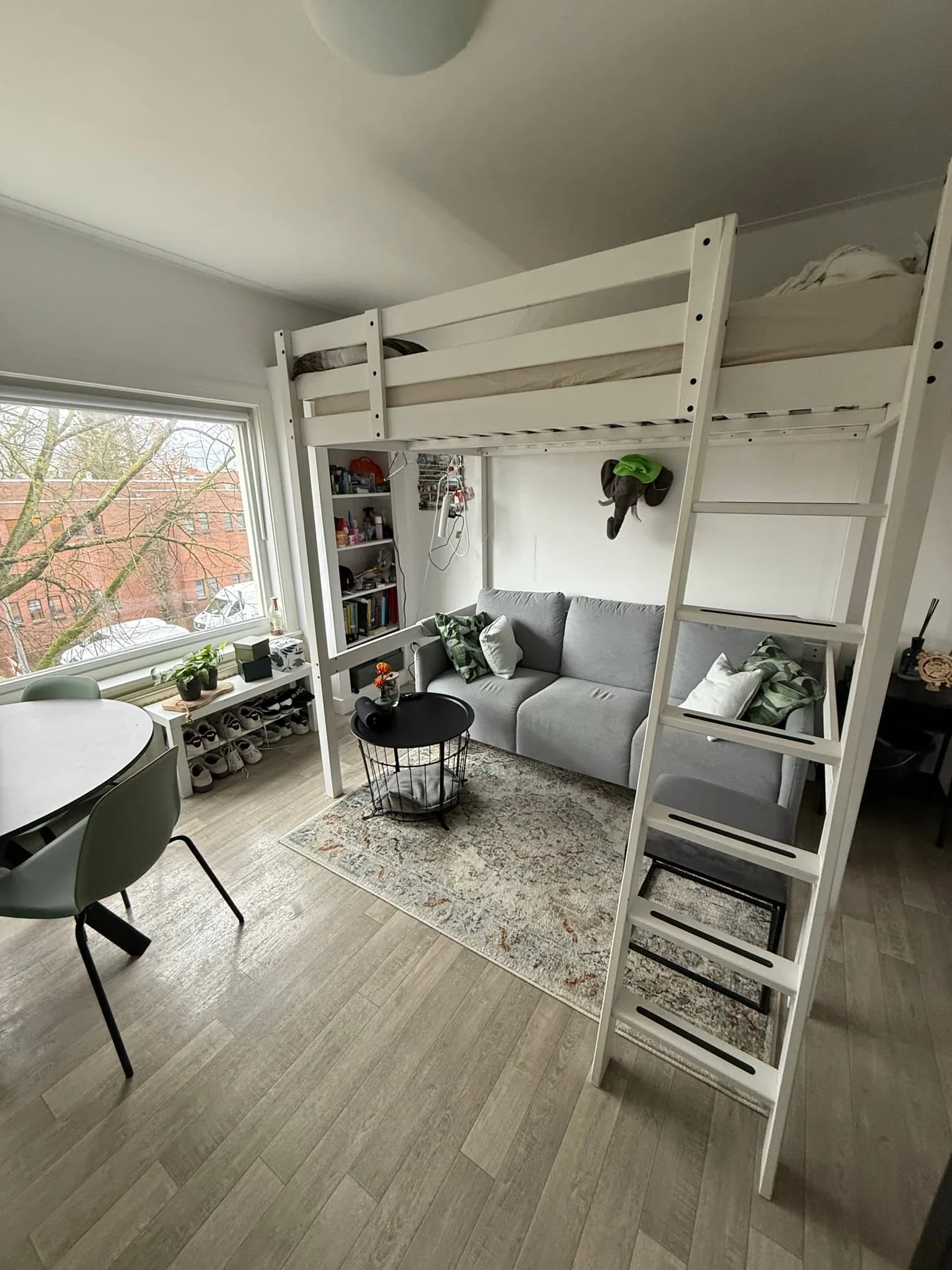 geblurde versie van de foto als achtergrond