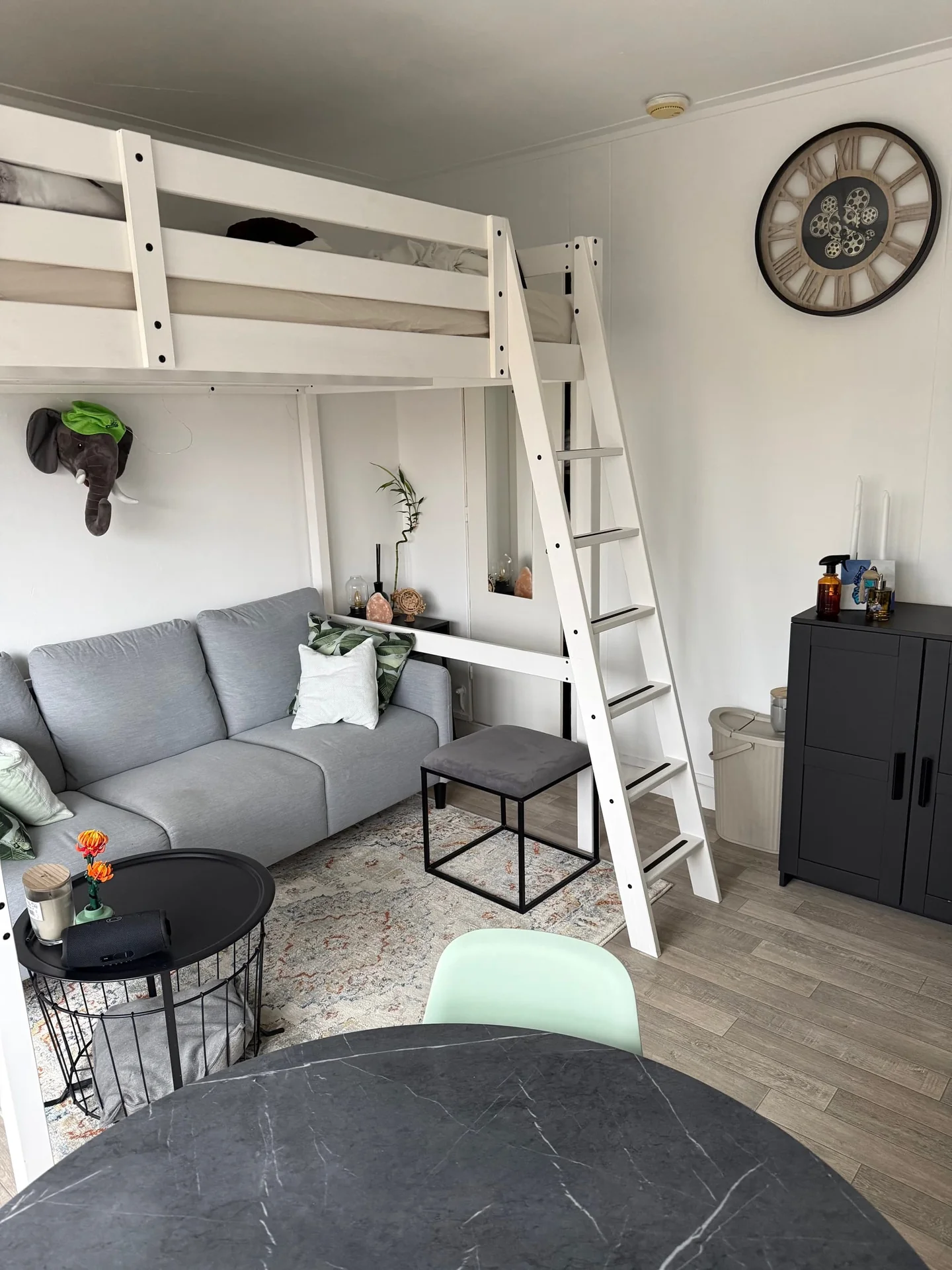 geblurde versie van de foto als achtergrond