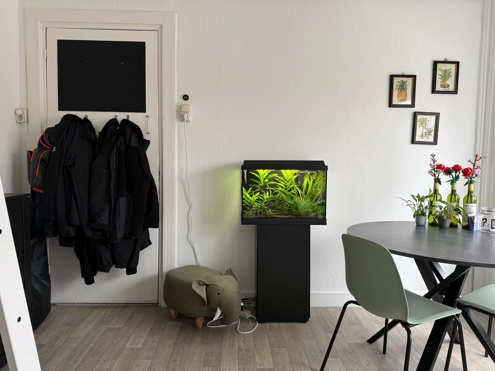 geblurde versie van de foto als achtergrond