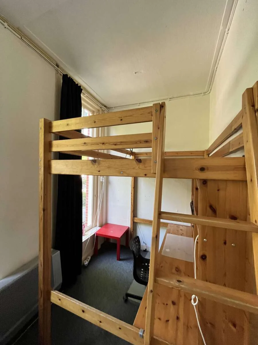 geblurde versie van de foto als achtergrond