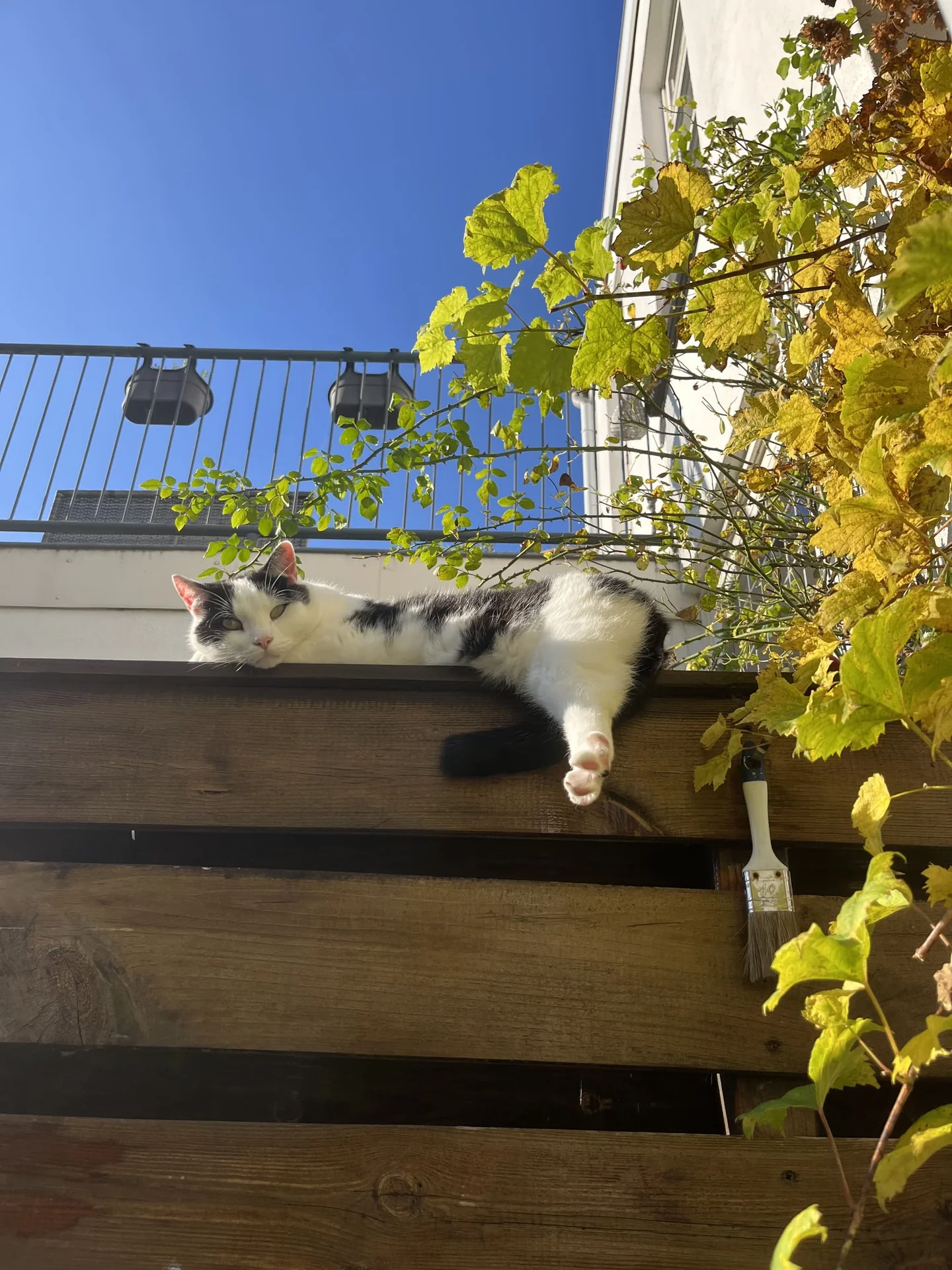 Foto van de Appartement gelegen aan de Billitonkade in Utrecht