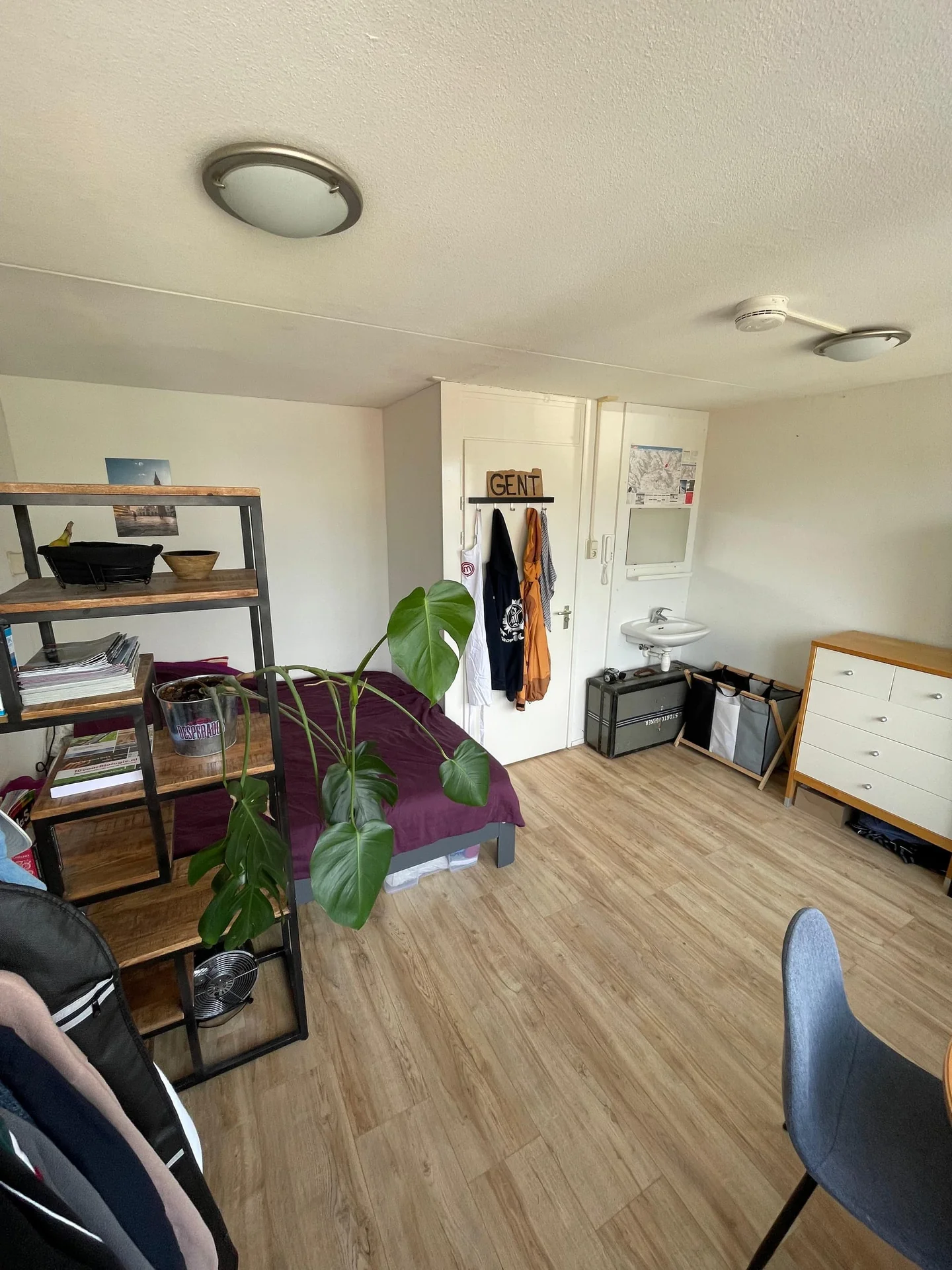 geblurde versie van de foto als achtergrond