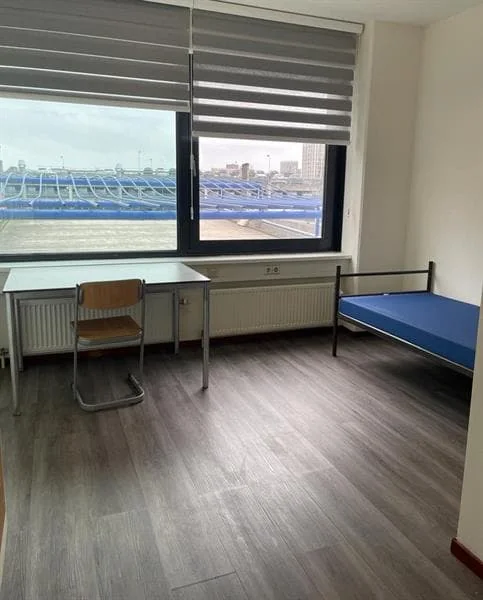 geblurde versie van de foto als achtergrond