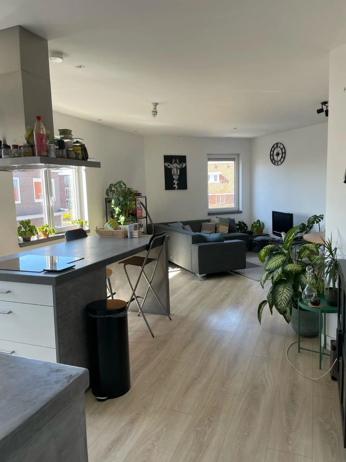 Foto van de Kamer gelegen aan de Leeuwerikstraat in Haarlem