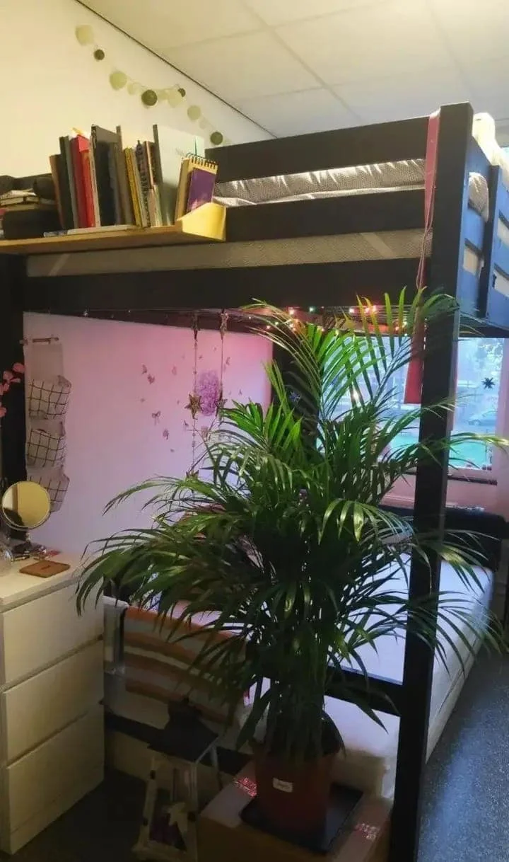 Foto van de Kamer gelegen aan de Kerkstraat in Nijmegen