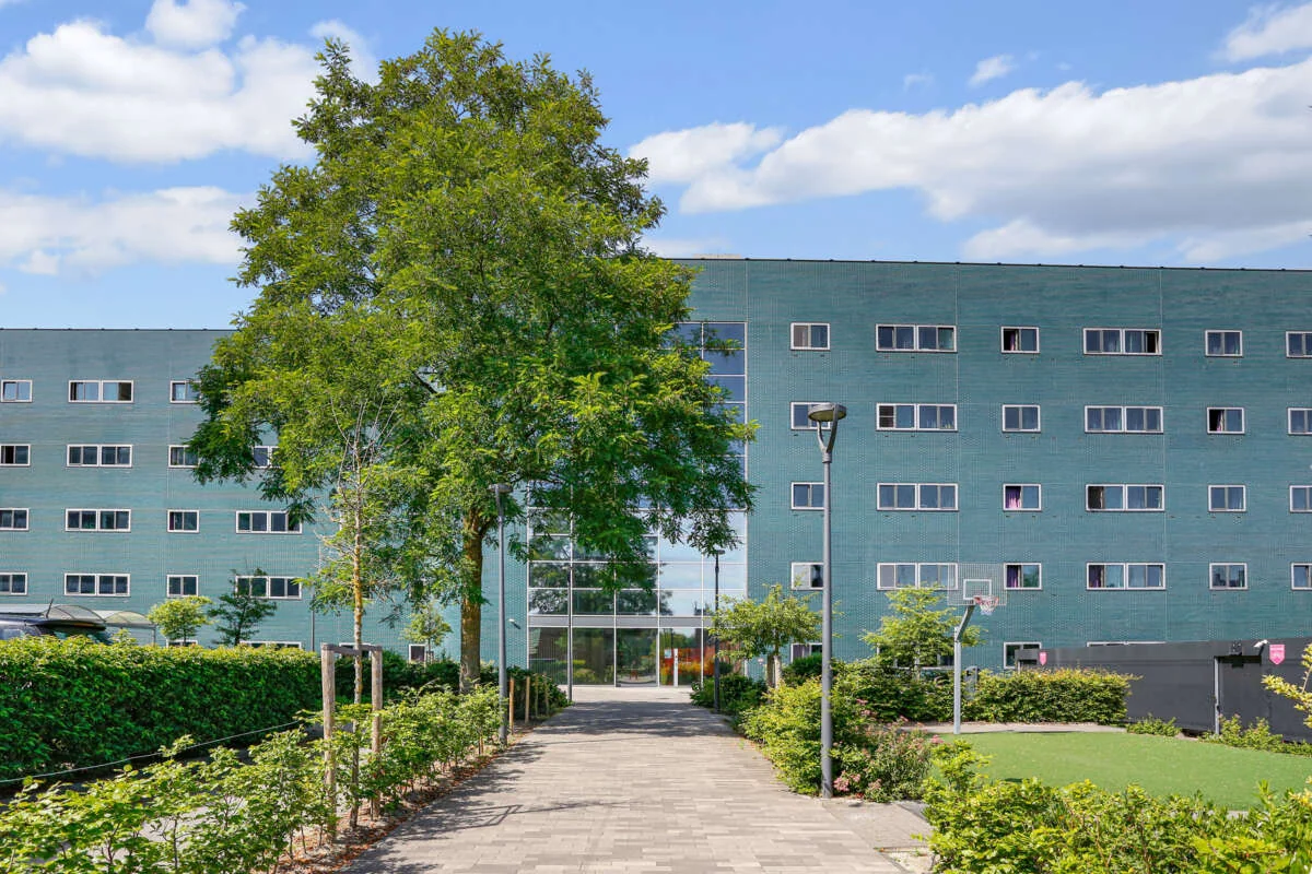 geblurde versie van de foto als achtergrond