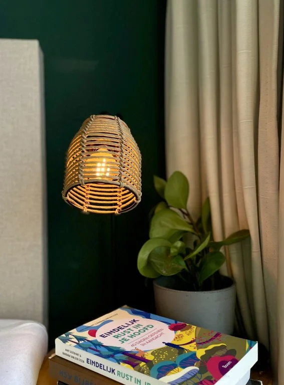 geblurde versie van de foto als achtergrond