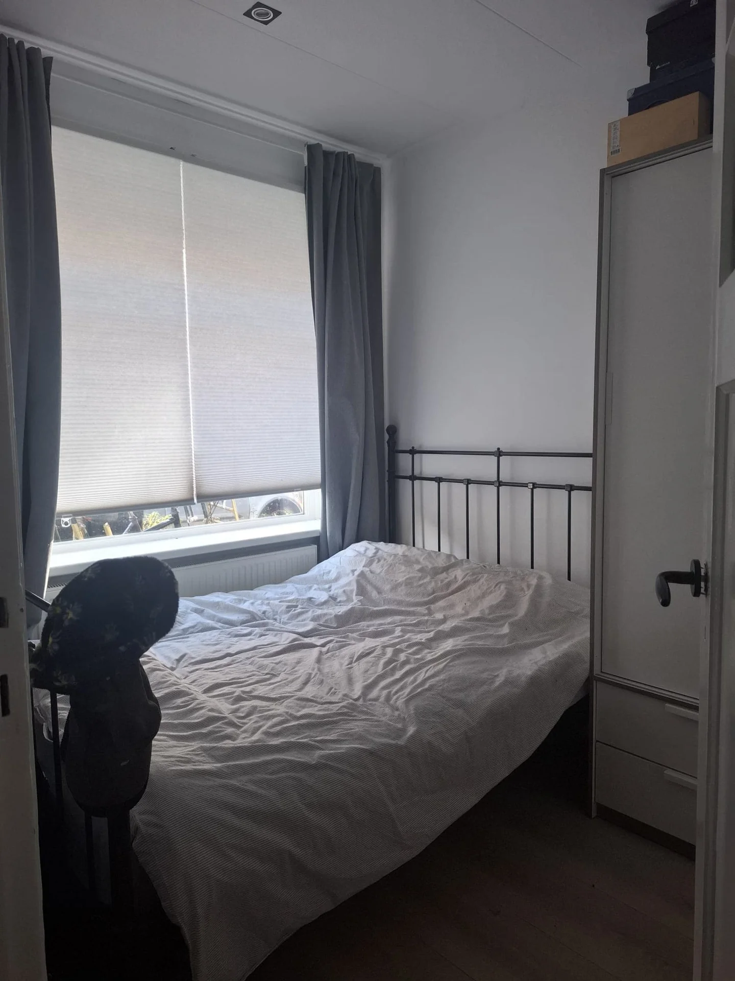 geblurde versie van de foto als achtergrond