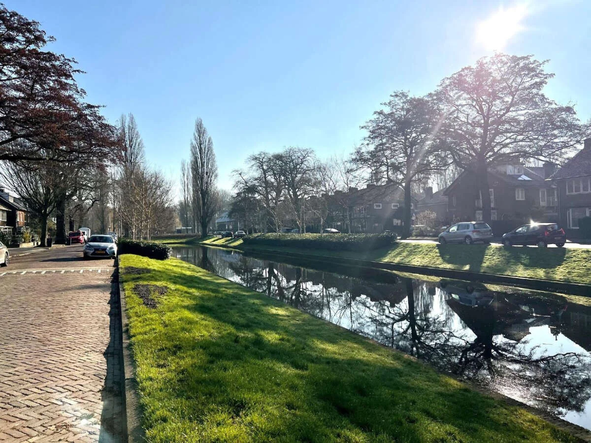 geblurde versie van de foto als achtergrond