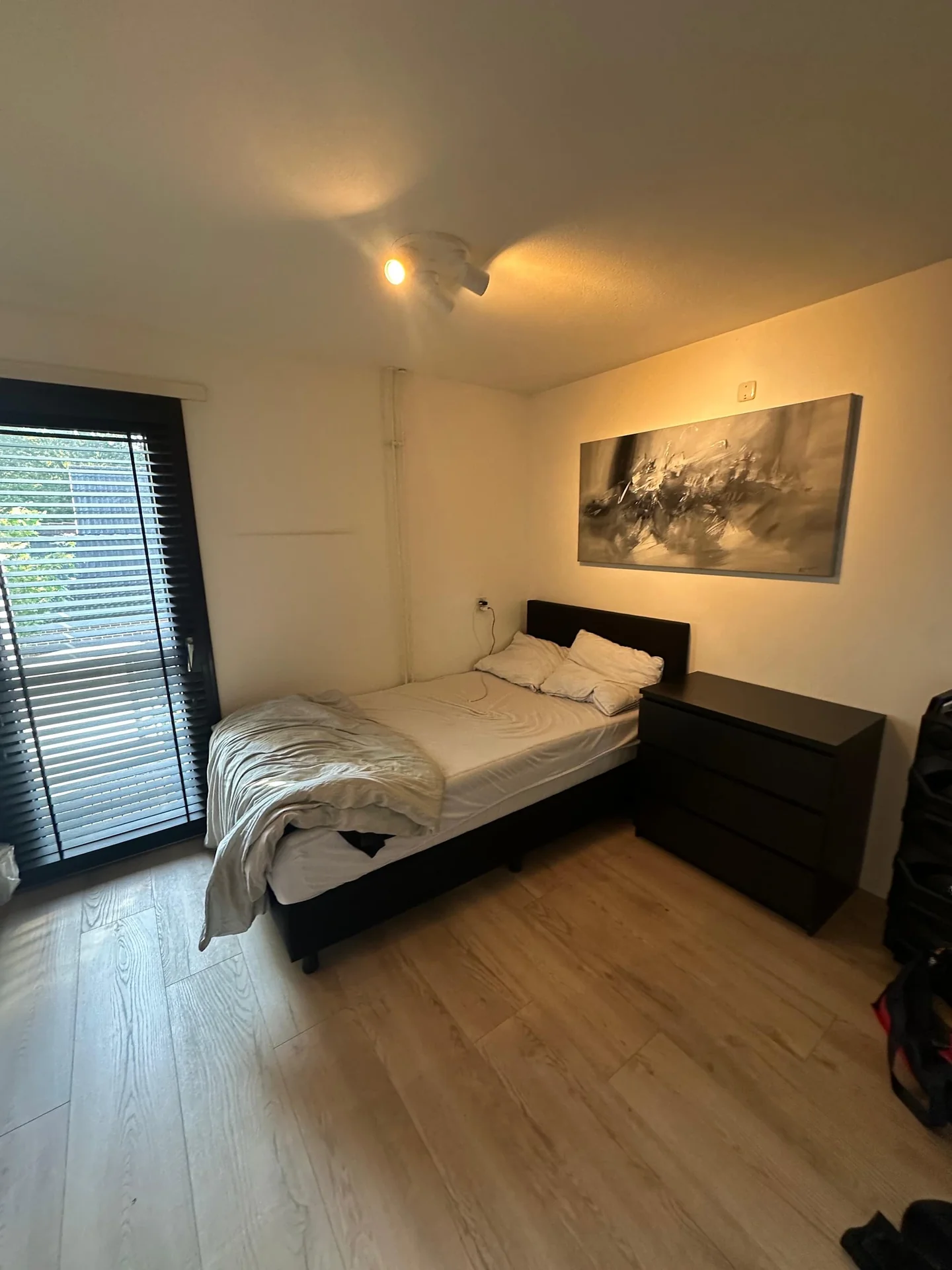 geblurde versie van de foto als achtergrond