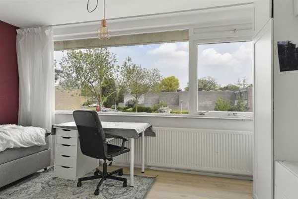 geblurde versie van de foto als achtergrond