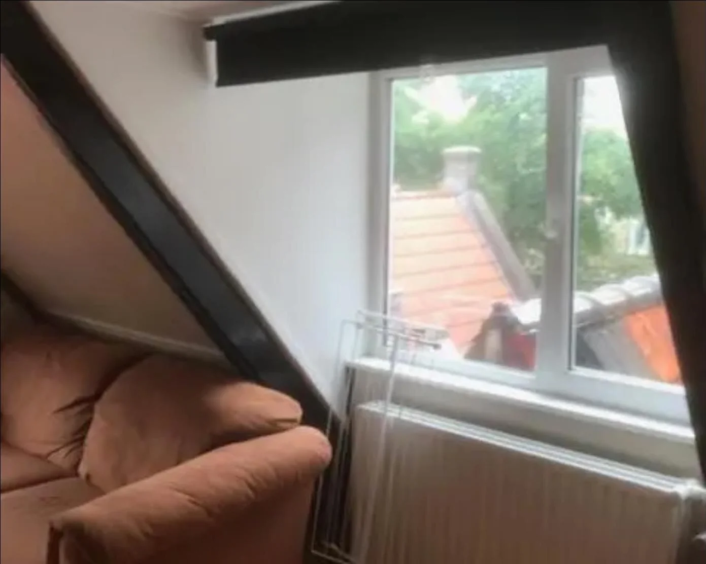 geblurde versie van de foto als achtergrond