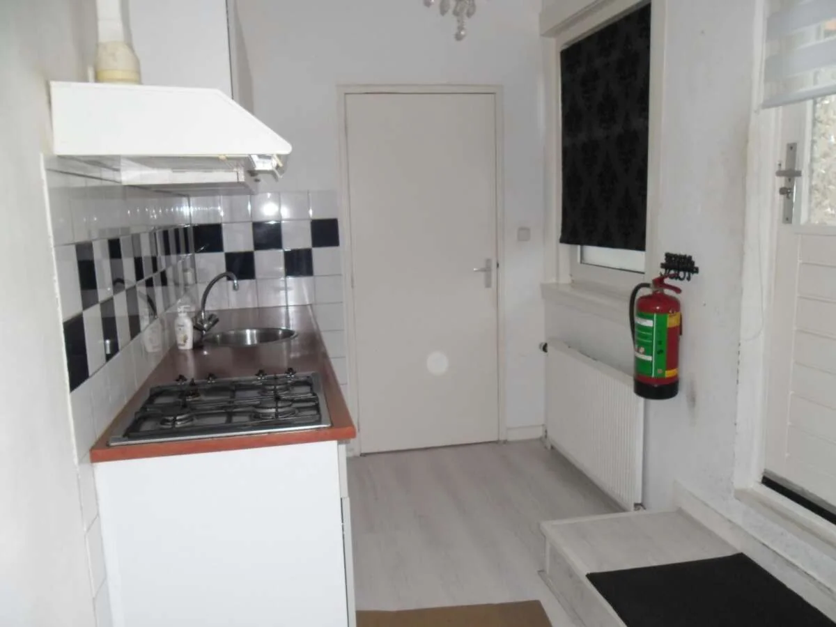 geblurde versie van de foto als achtergrond