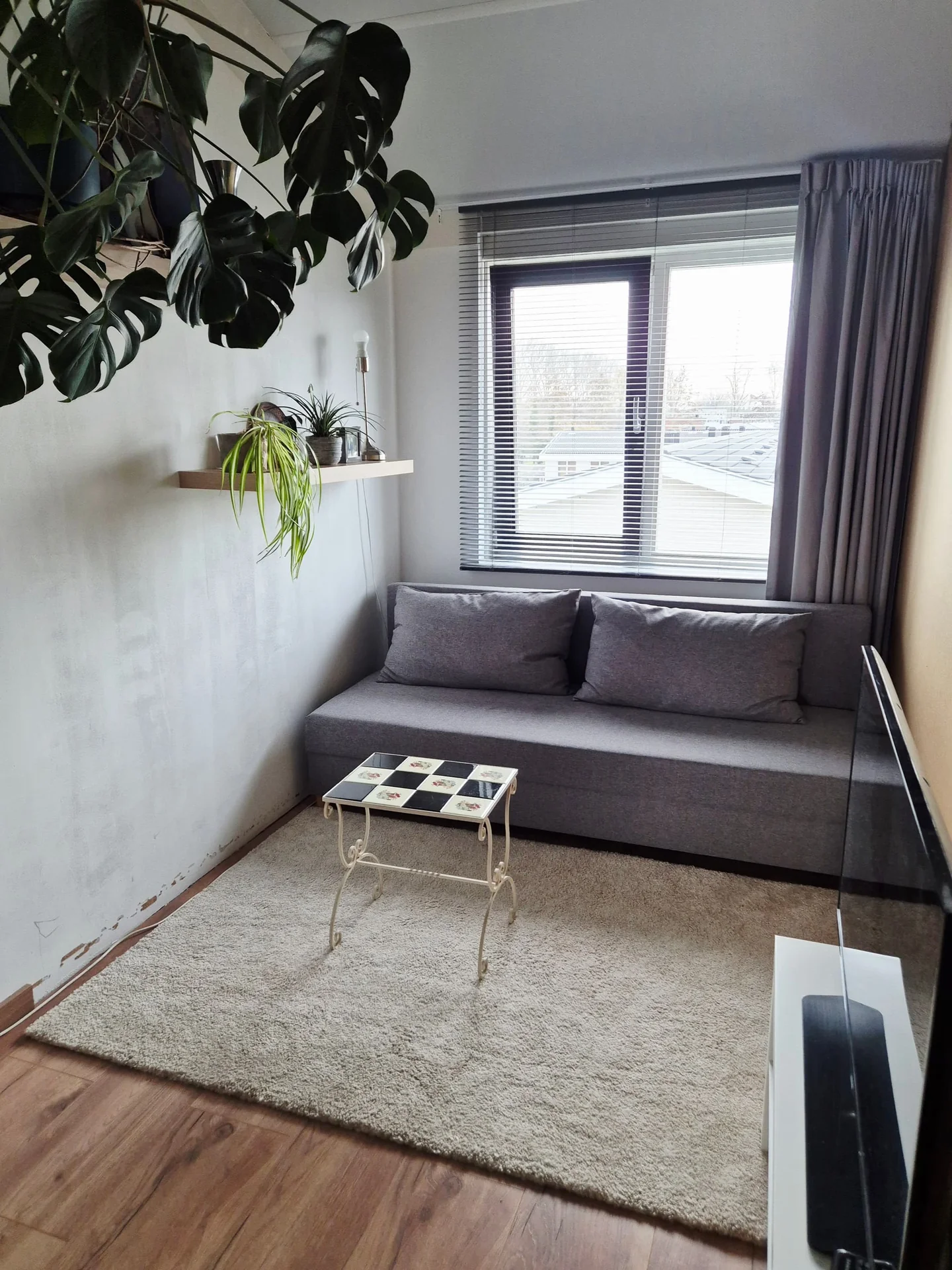 Foto van de Kamer gelegen aan de Meidoornlaan in Delft