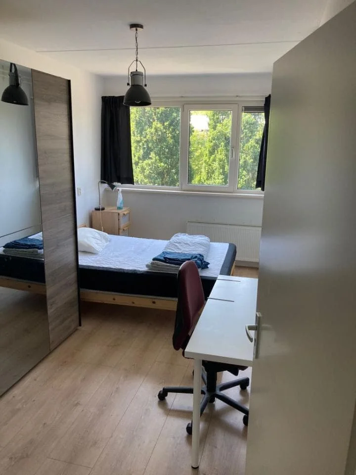 geblurde versie van de foto als achtergrond