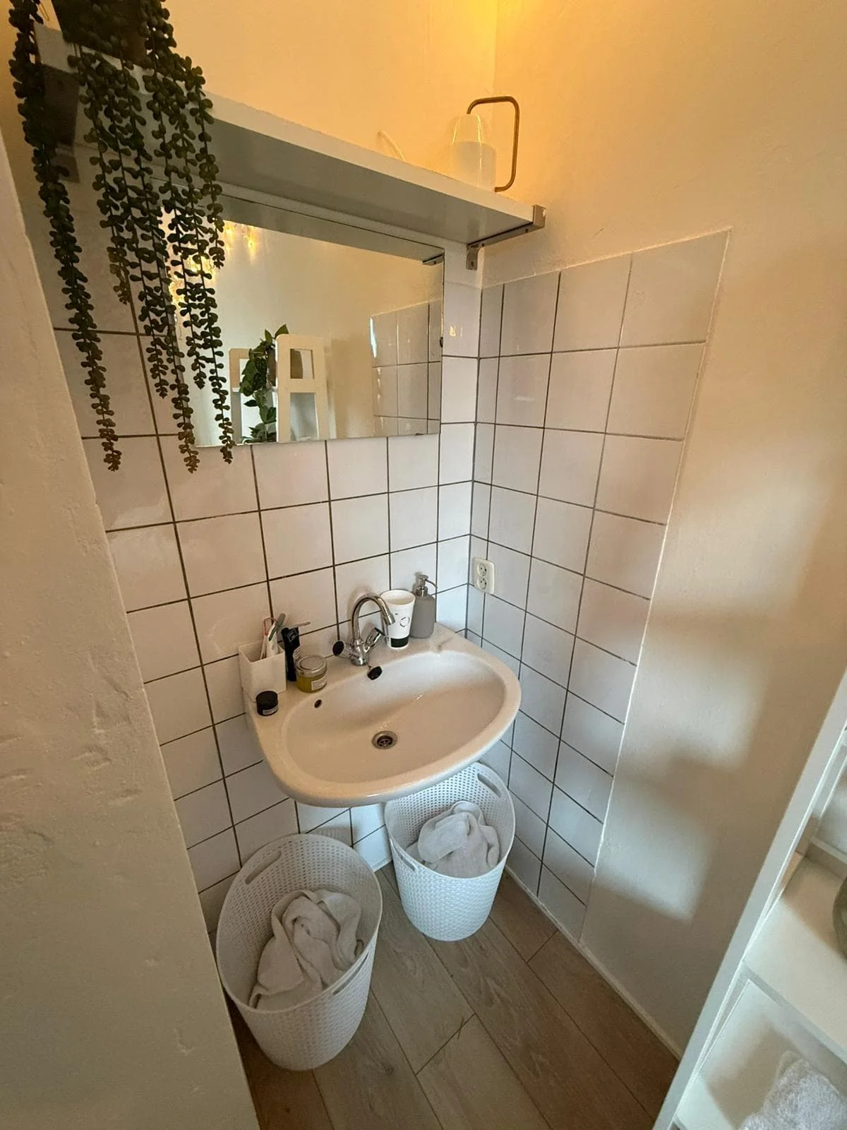 geblurde versie van de foto als achtergrond