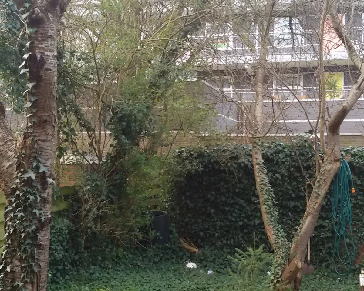 Foto van de Kamer gelegen aan de Celebesstraat in Groningen