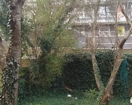 Foto van de Kamer gelegen aan de Celebesstraat in Groningen