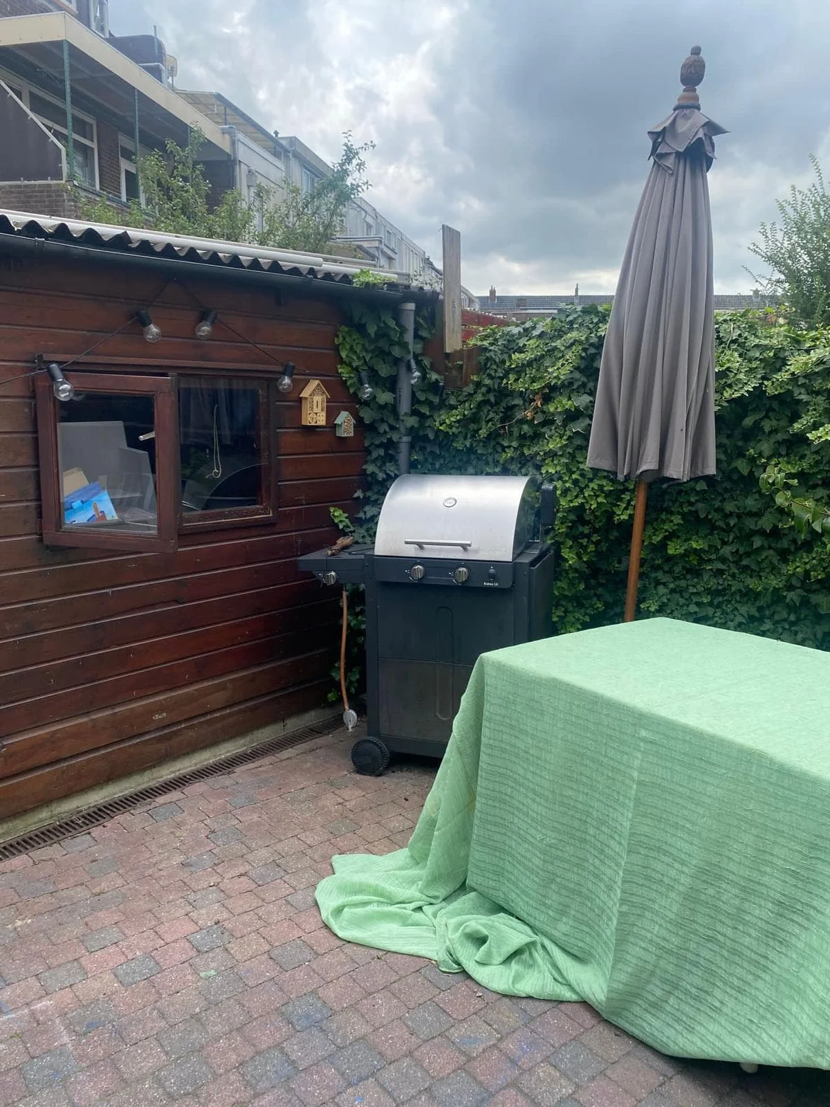 geblurde versie van de foto als achtergrond