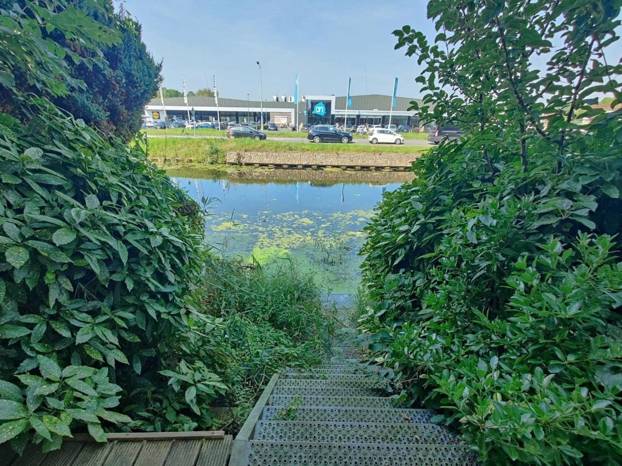 geblurde versie van de foto als achtergrond