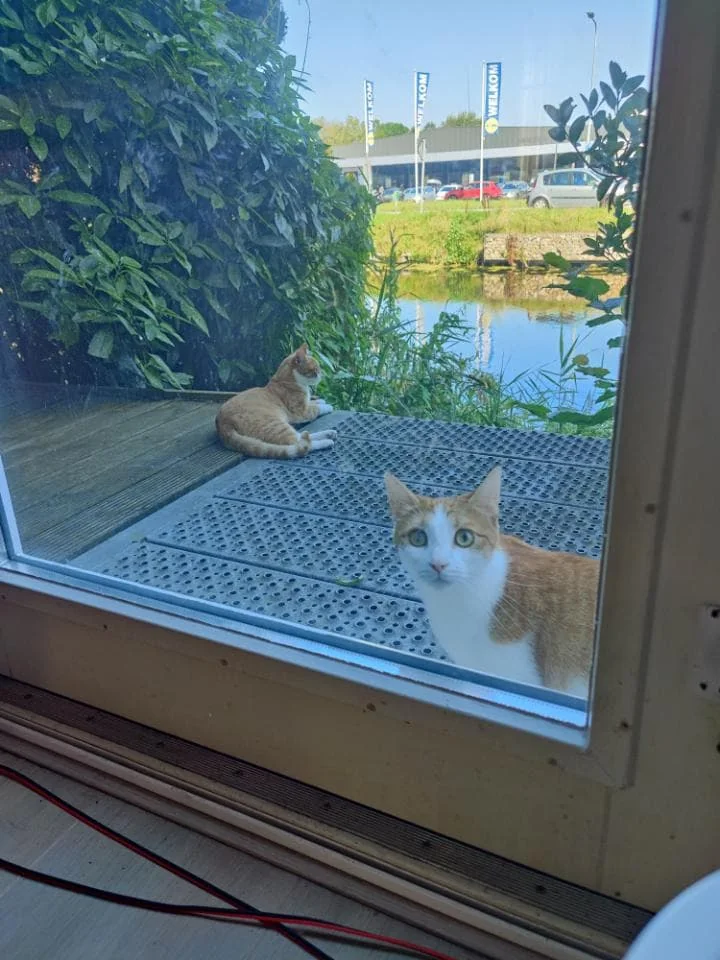Foto van de Appartement gelegen aan de De Waard in Groningen
