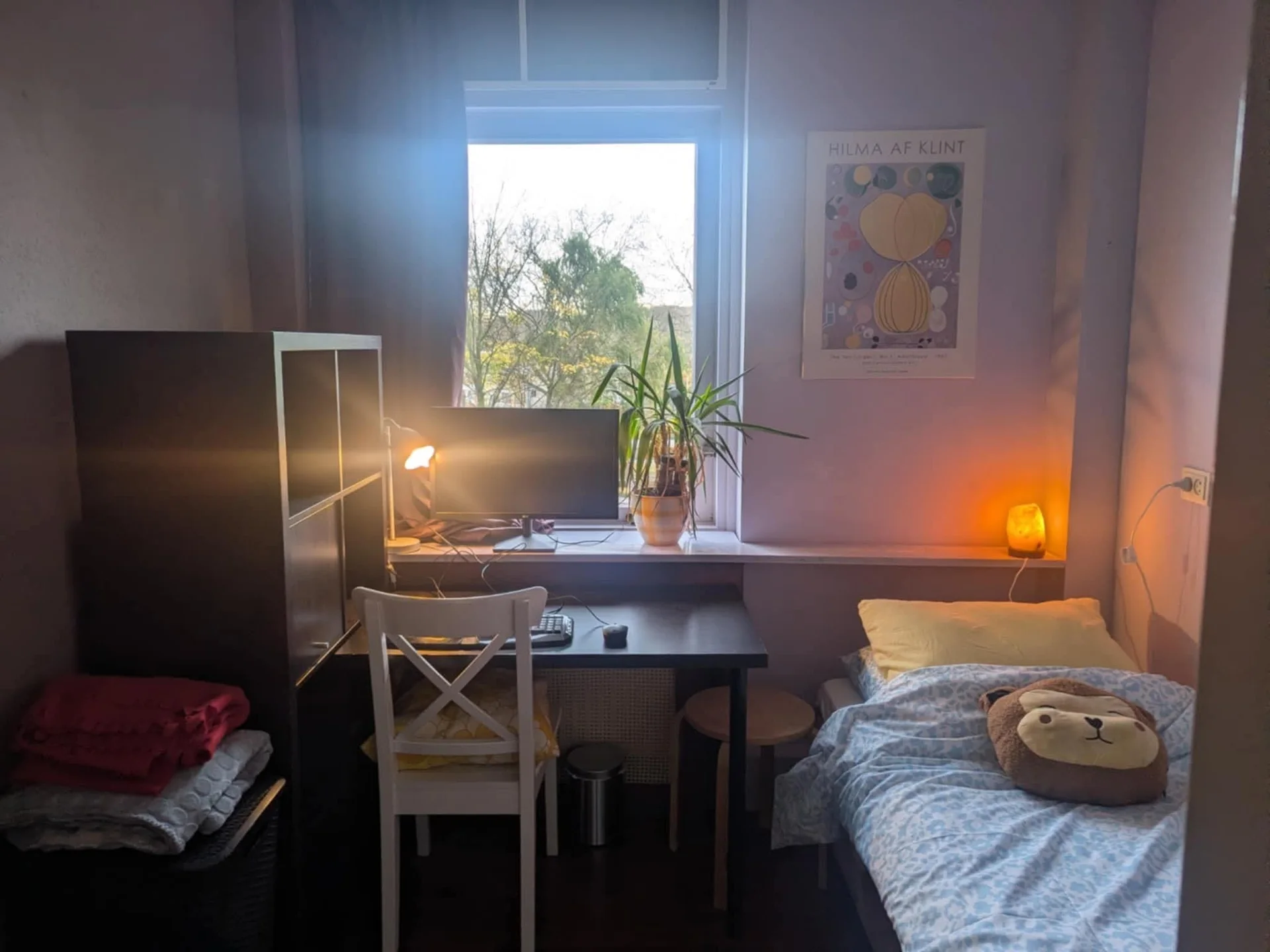 Foto van de Kamer gelegen aan de Livingstonelaan in Utrecht
