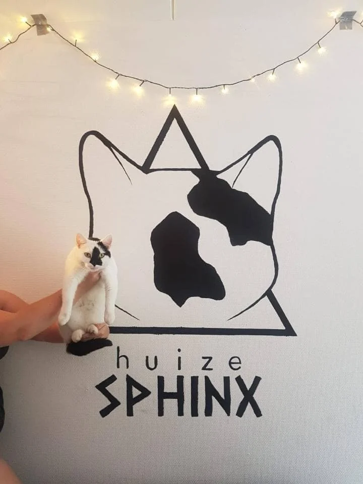 geblurde versie van de foto als achtergrond