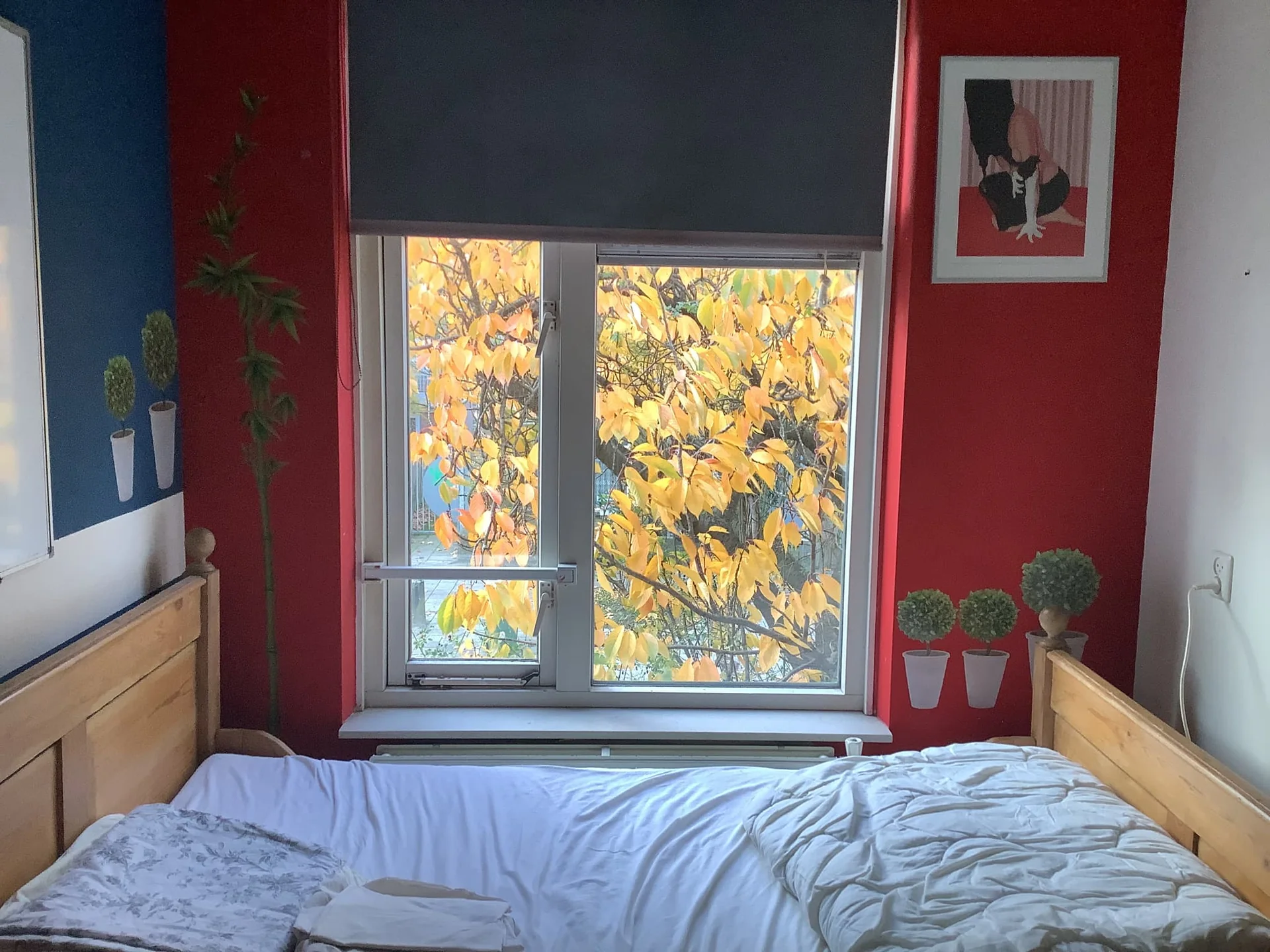 geblurde versie van de foto als achtergrond