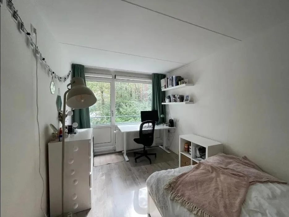 geblurde versie van de foto als achtergrond