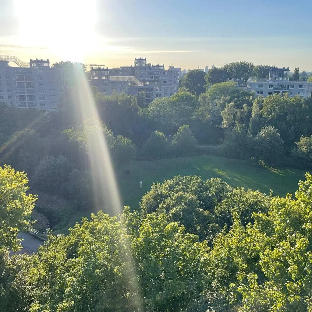 geblurde versie van de foto als achtergrond