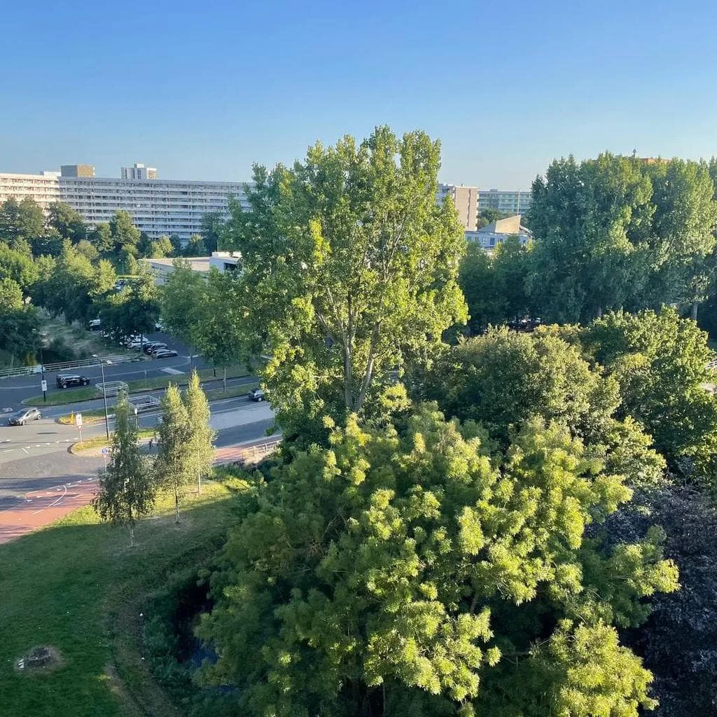 geblurde versie van de foto als achtergrond