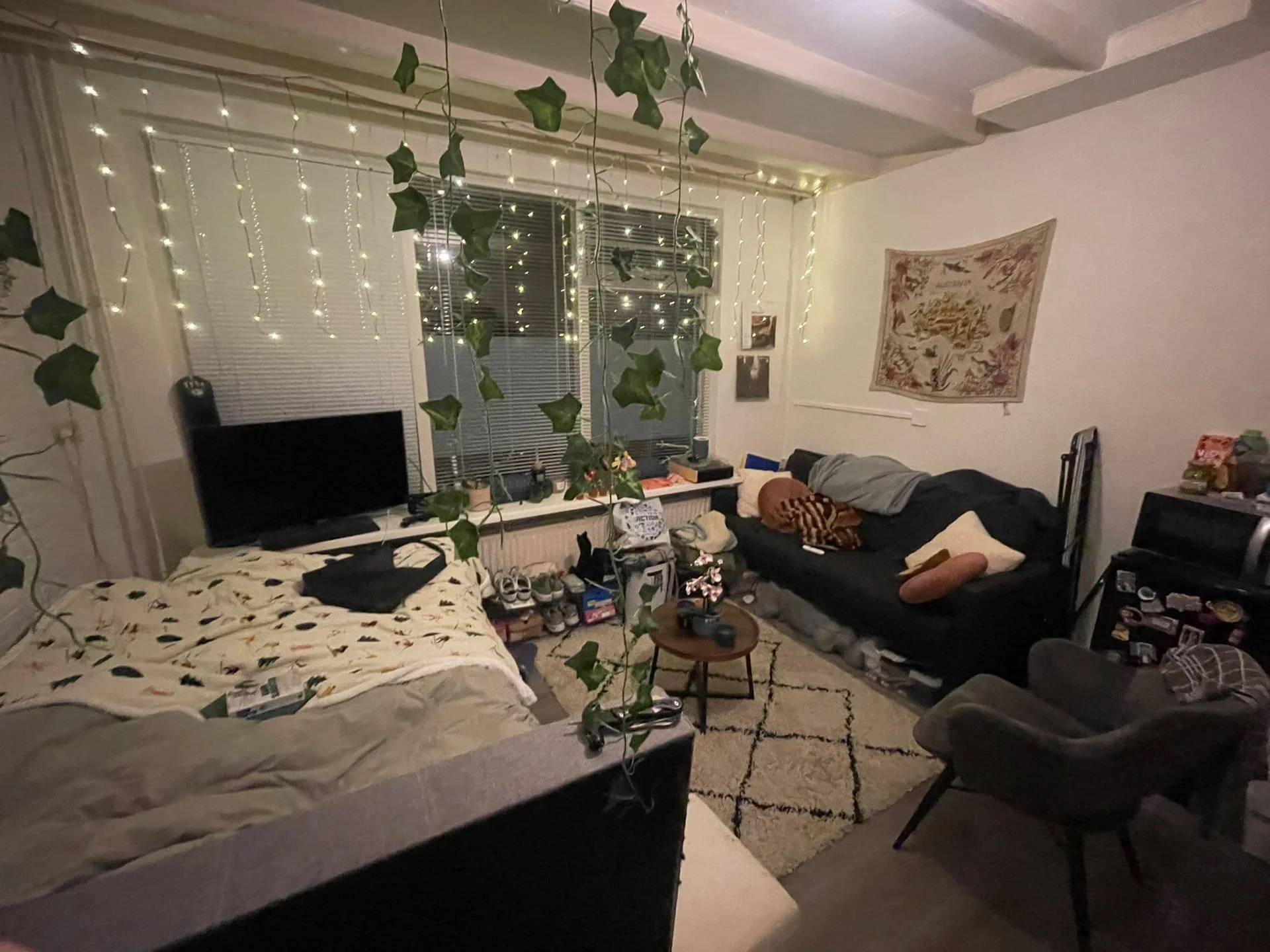 geblurde versie van de foto als achtergrond