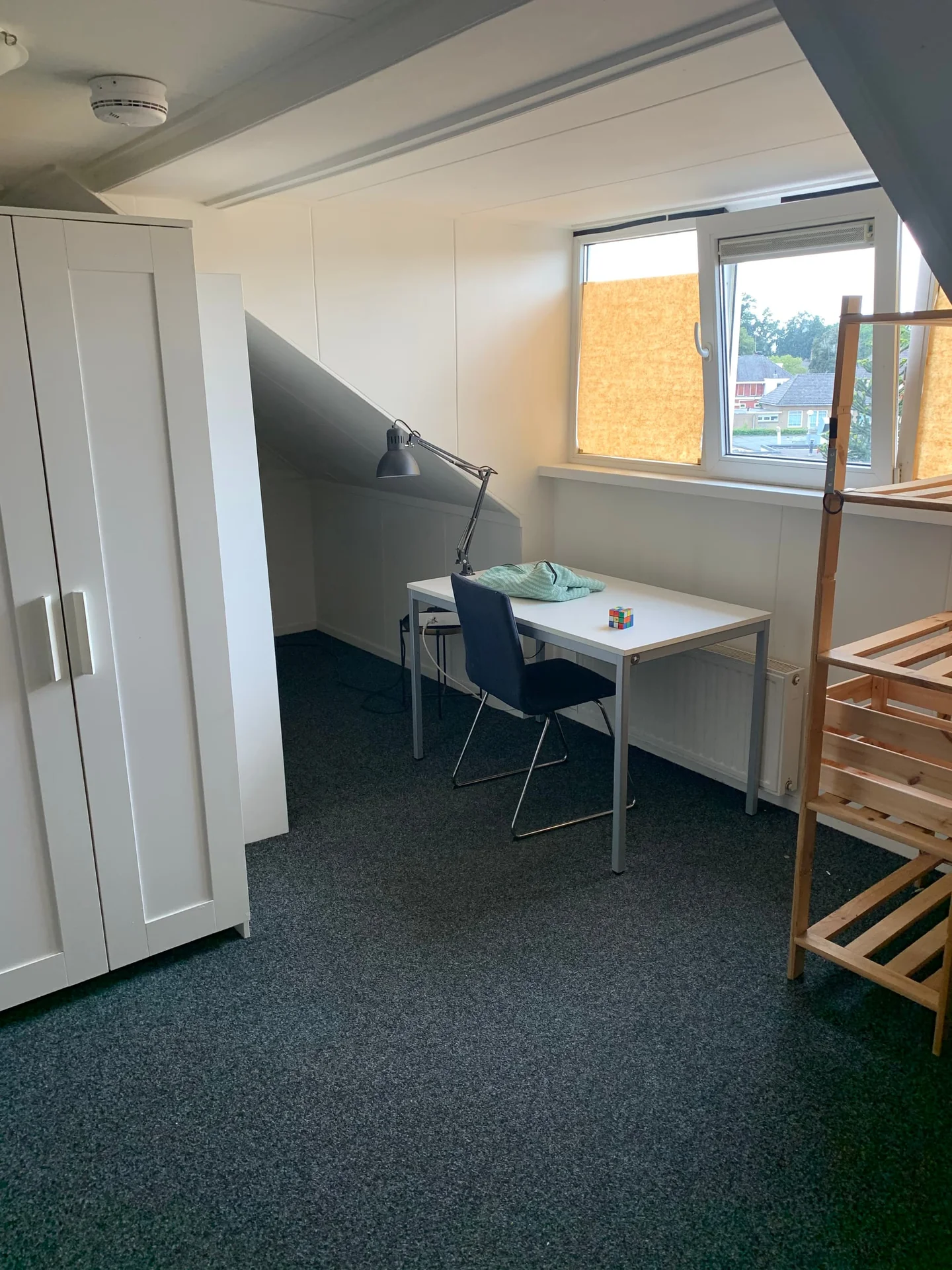 geblurde versie van de foto als achtergrond