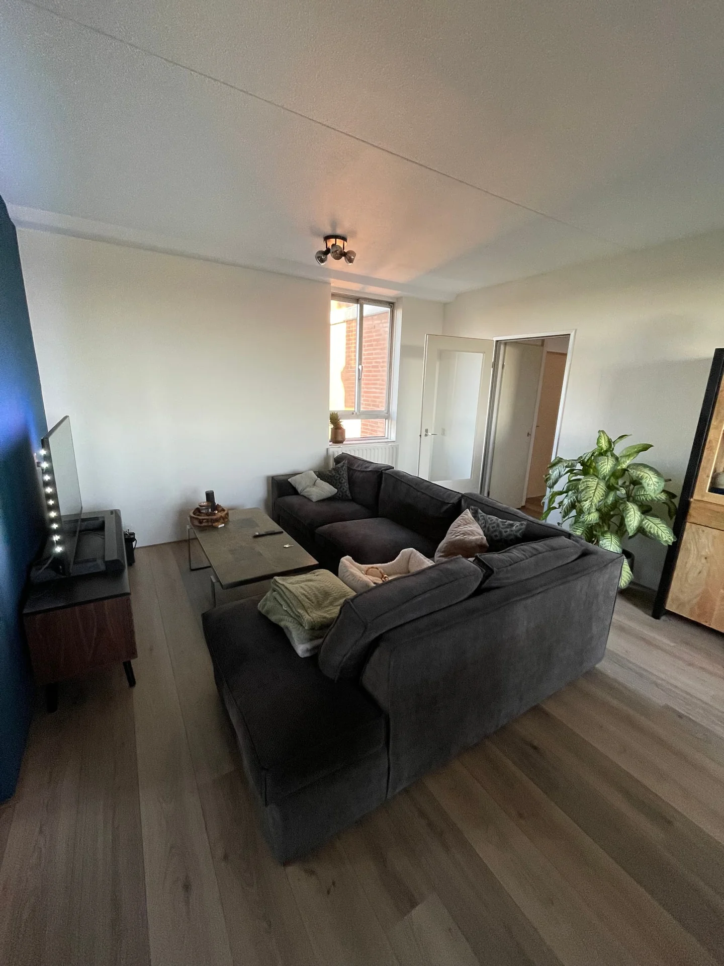 geblurde versie van de foto als achtergrond