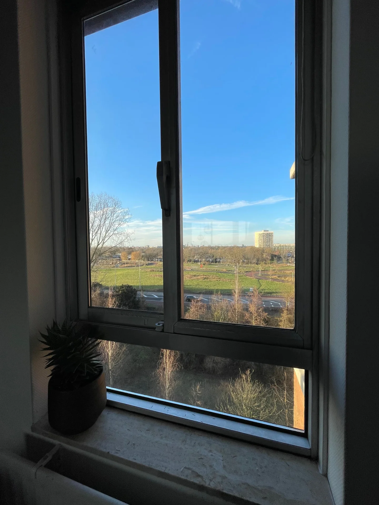 geblurde versie van de foto als achtergrond