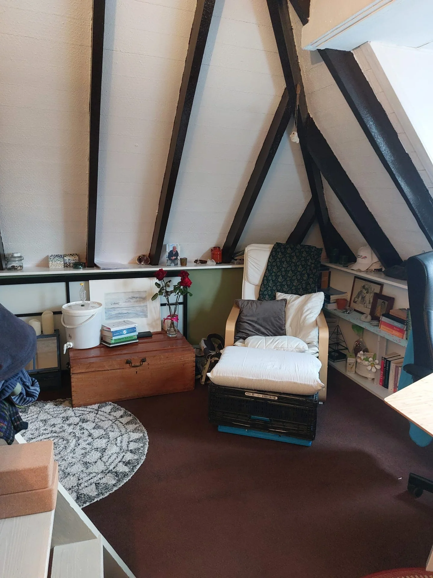 geblurde versie van de foto als achtergrond