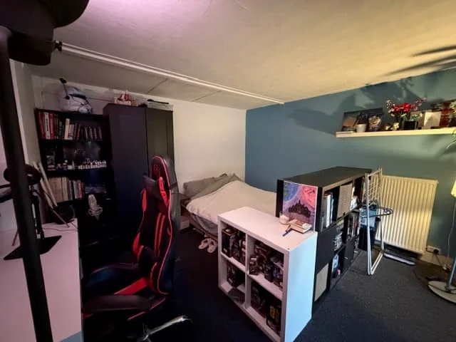 geblurde versie van de foto als achtergrond