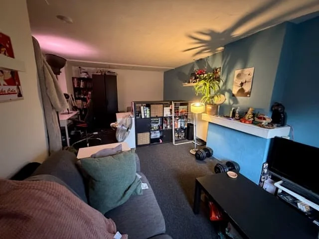 geblurde versie van de foto als achtergrond