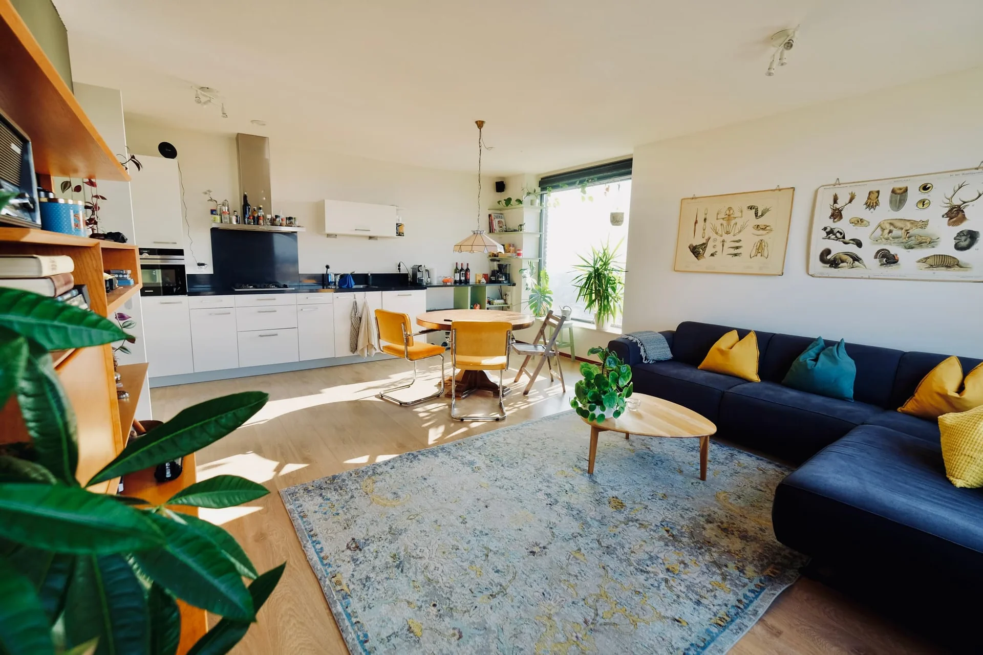 Foto van de Appartement gelegen aan de Carolina MacGillavrylaan in Amsterdam