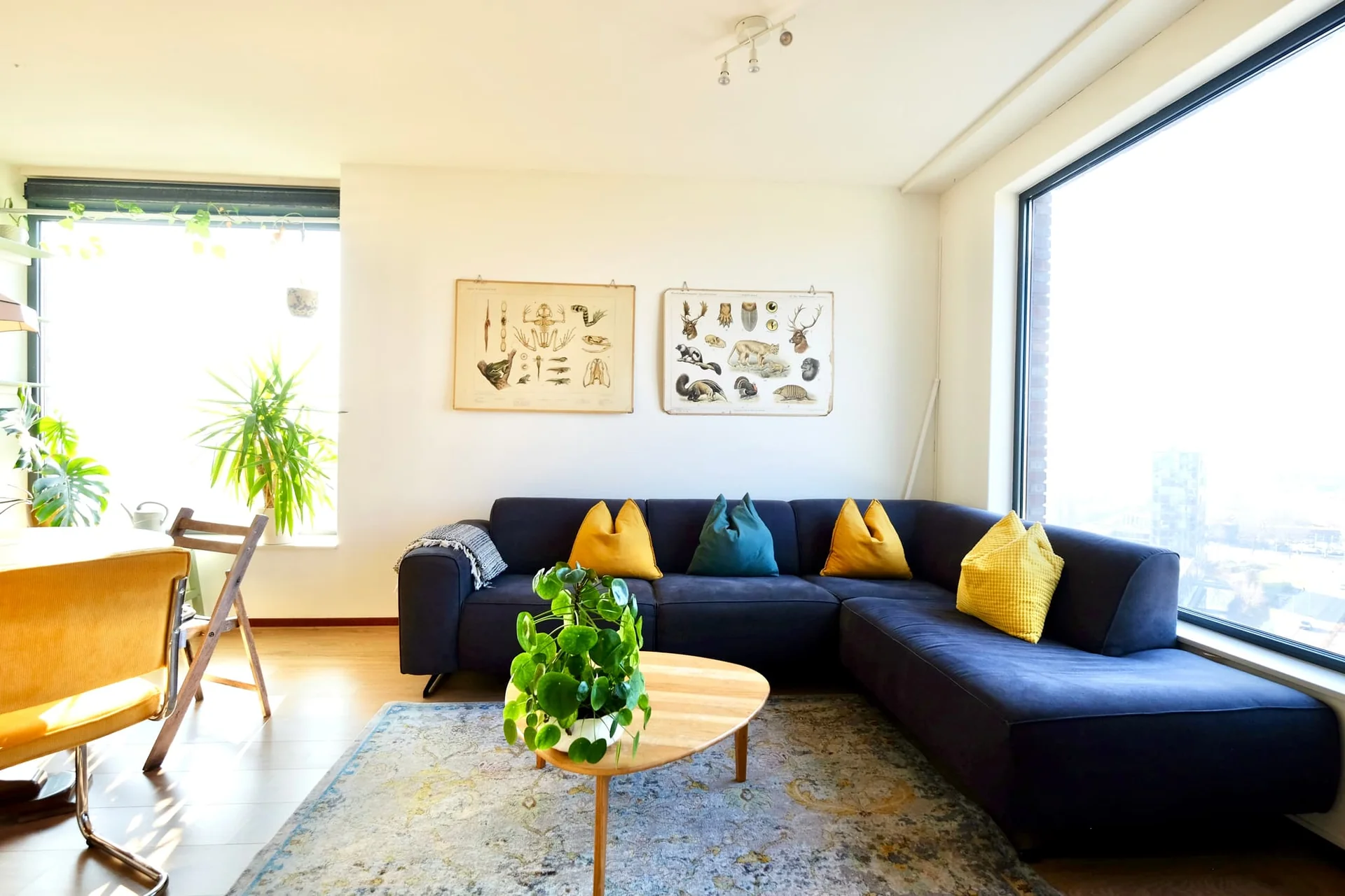 Foto van de Appartement gelegen aan de Carolina MacGillavrylaan in Amsterdam