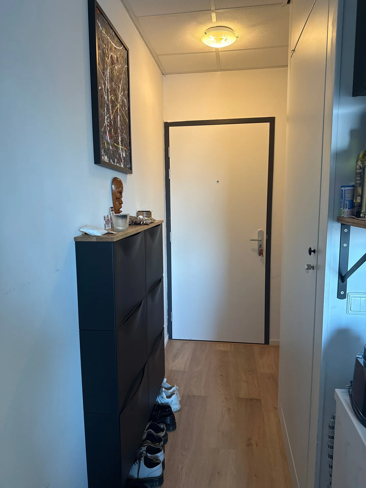 Foto van de Studio gelegen aan de Dijkzichtlaan in Haarlem