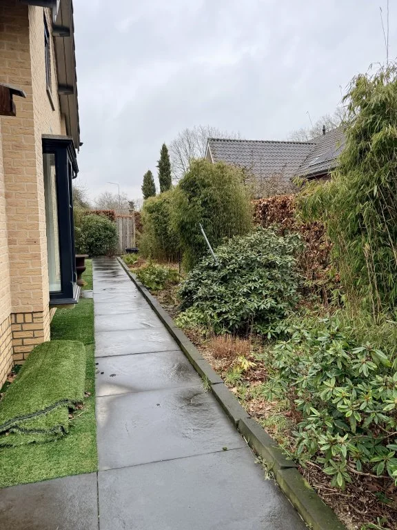 geblurde versie van de foto als achtergrond