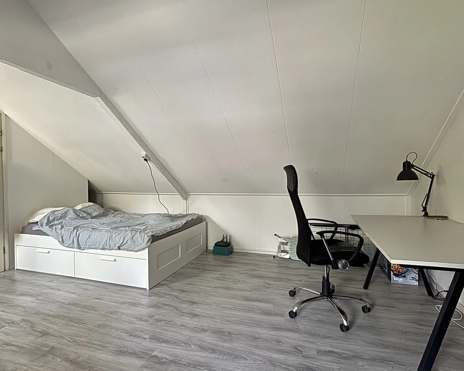 geblurde versie van de foto als achtergrond