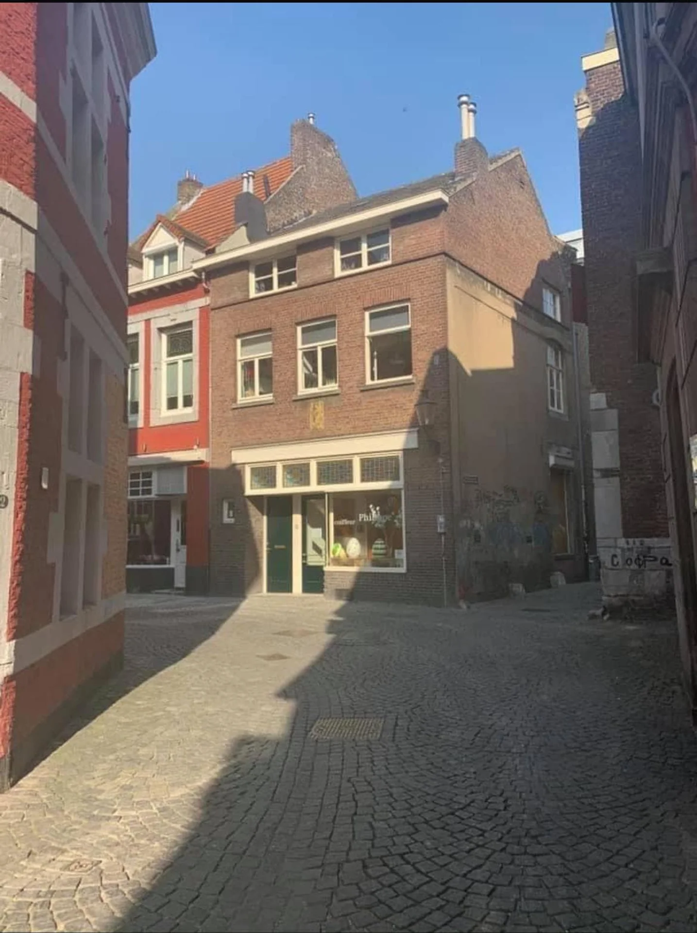 geblurde versie van de foto als achtergrond