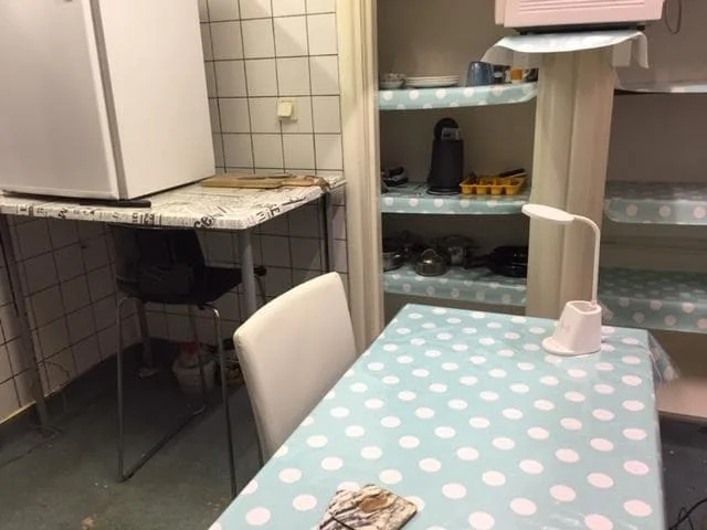 geblurde versie van de foto als achtergrond