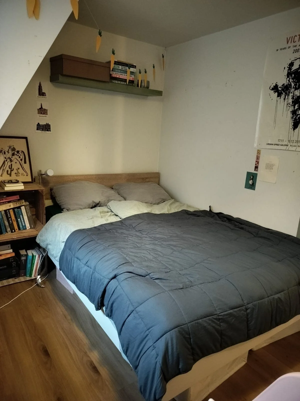 Foto van de Kamer gelegen aan de Schiedamseweg in Rotterdam