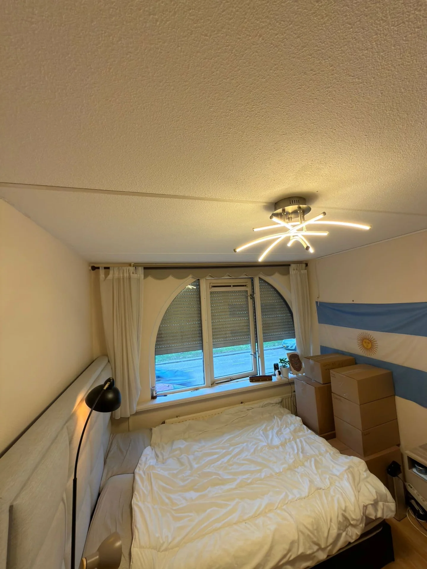 geblurde versie van de foto als achtergrond