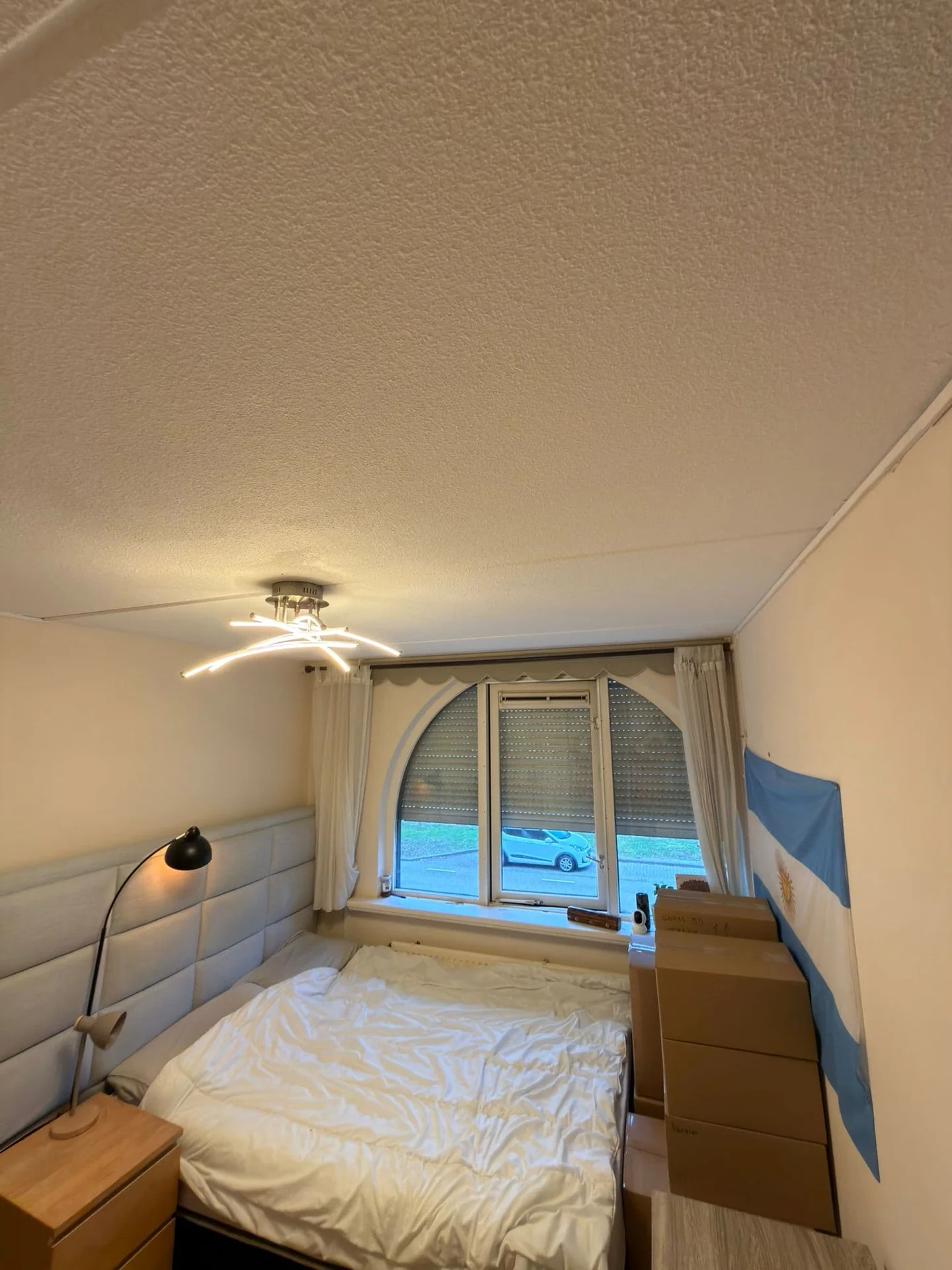 geblurde versie van de foto als achtergrond