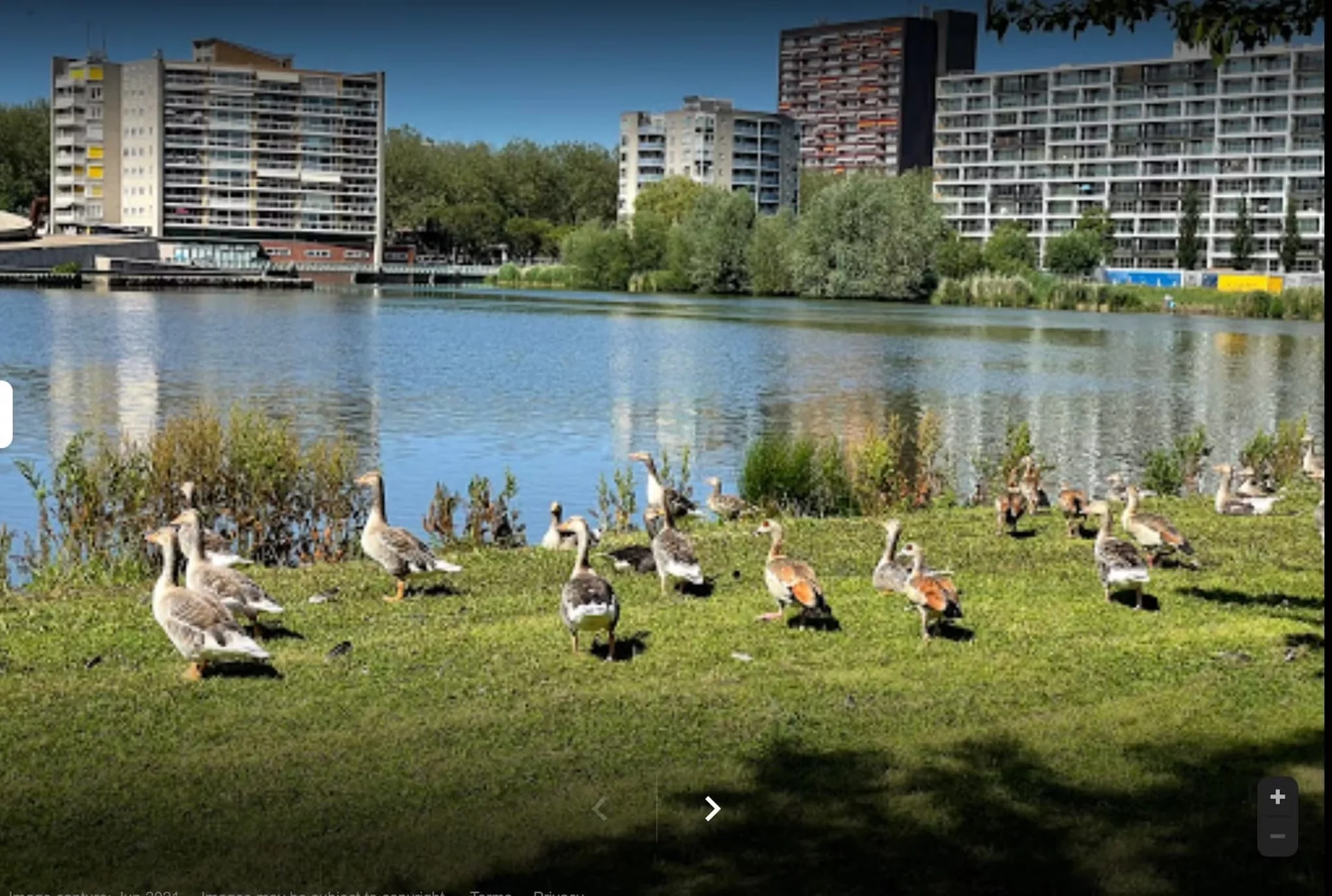 Foto van de Kamer gelegen aan de Prinsenlaan in Rotterdam