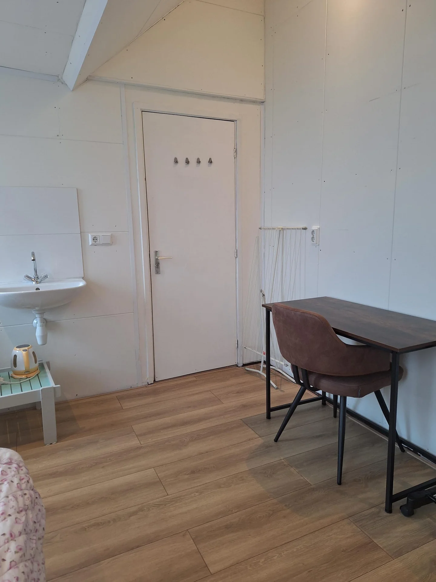 Foto van de Appartement gelegen aan de Dodonaeusstraat in Zaandam